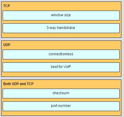 CCNA 1 Chapter 7 Exam Answer 001 (v5.02, 2015)