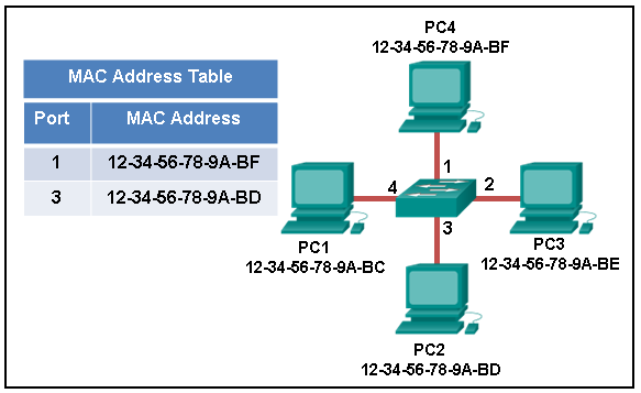CCNA 1 Chapter 5 Exam Answer 001 (v5.02, 2015)