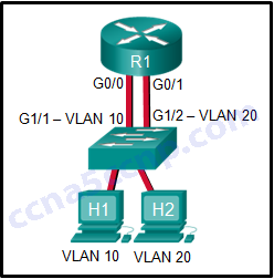 CCNA2 Chapter 5 v5.03 006