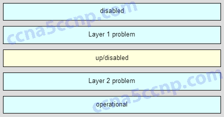 CCNA2 Chapter 2 v5.03 Answer 002
