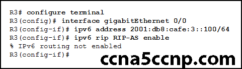 CCNA2 Chapter 7 v5.03 004